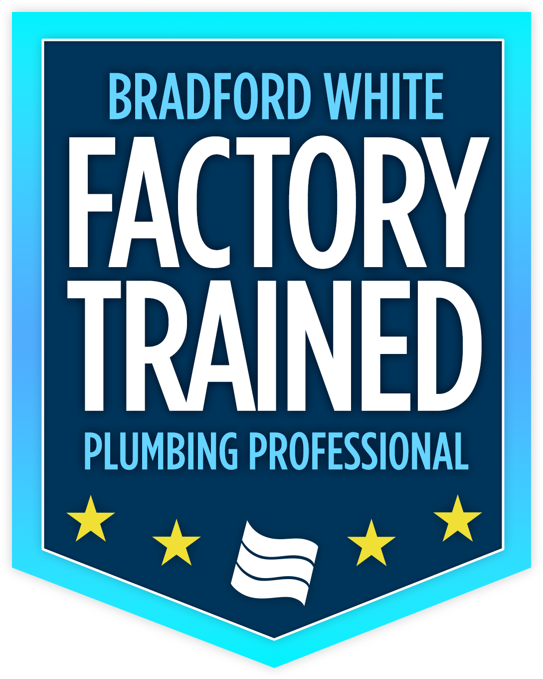 Bradford White Factory Trained